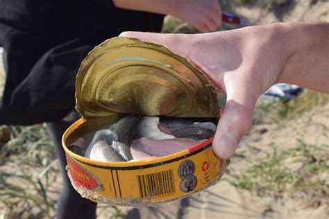 worlds smelliest fish in a can|Sweden’s Surströmming: The ‘Try It If You Dare’。